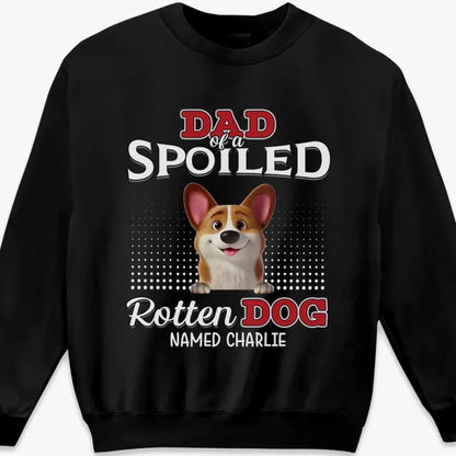 691c49b026b29_large
